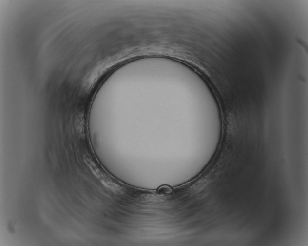 X0000103231499200809111518