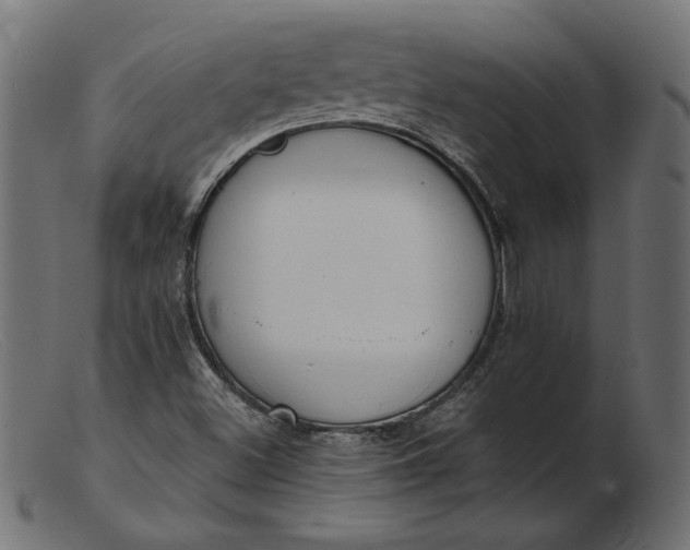 X0000103231500200809111518