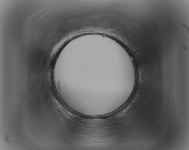 X0000103231502200809111518