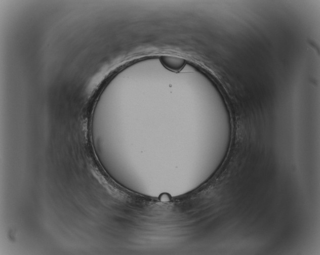 X0000103231503200809111518