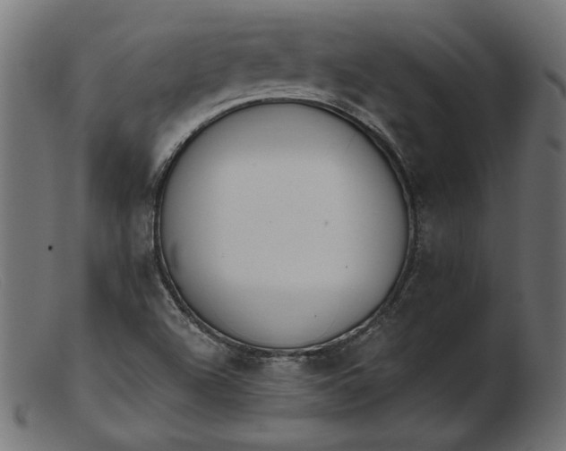 X0000103231504200809111518