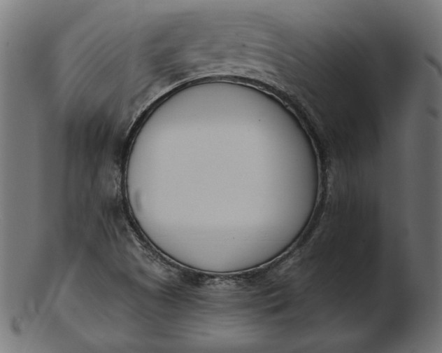 X0000103231505200809111518