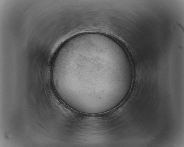 X0000103231506200809111518
