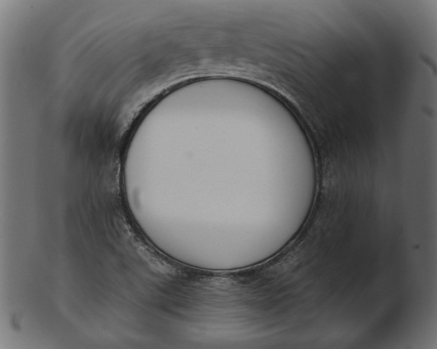 X0000103231507200809111518