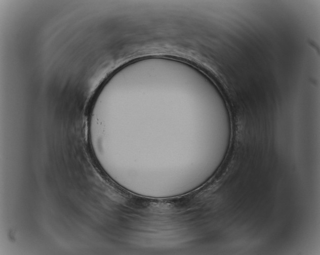 X0000103231509200809111518