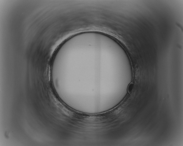 X0000103231510200809111518