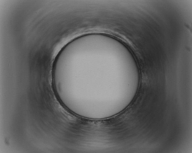 X0000103231512200809111518