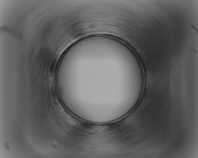 X0000103231513200809111518