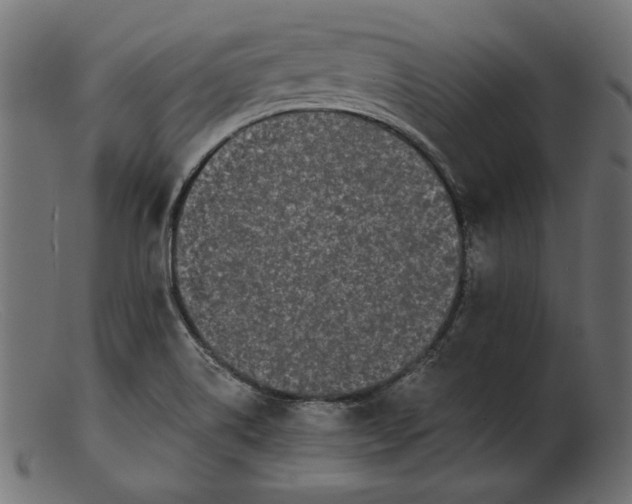 X0000103231514200809111518