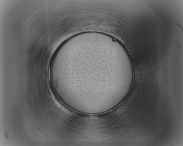 X0000103231515200809111518