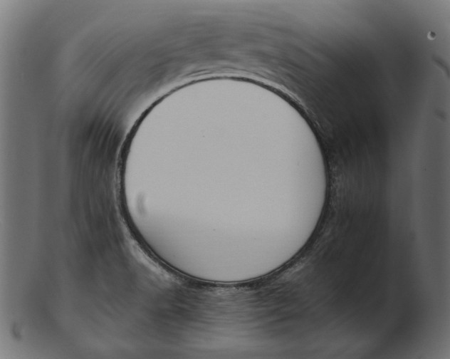 X0000103231518200809111519