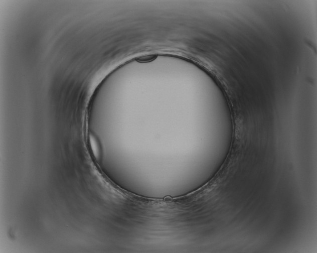 X0000103231520200809111519