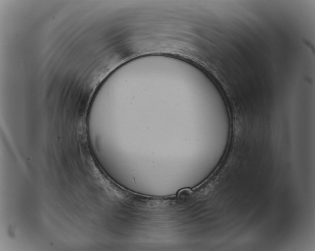 X0000103231521200809111519