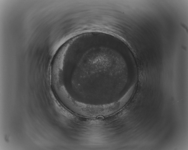 X0000103231522200809111519