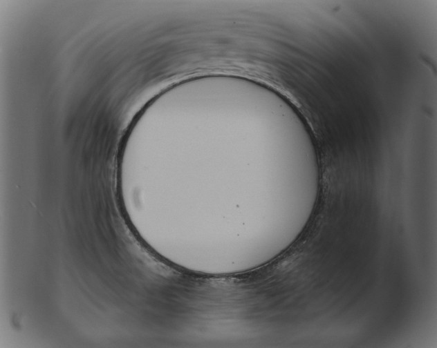 X0000103231523200809111519
