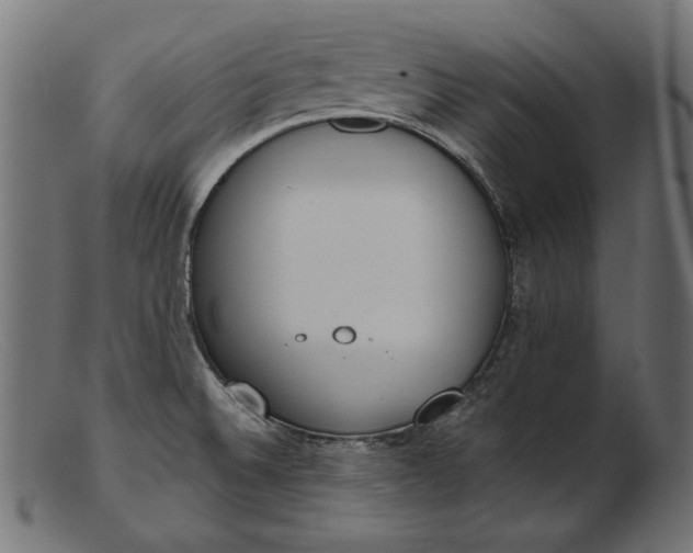 X0000103231524200809111519
