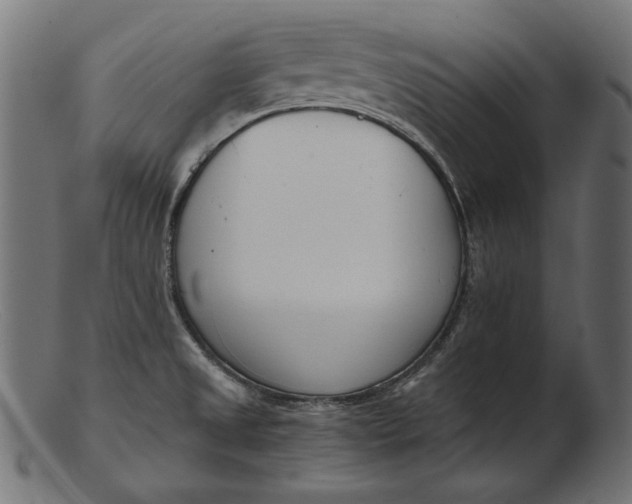 X0000103231525200809111519