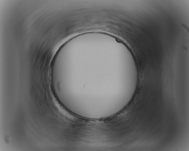 X0000103231526200809111519