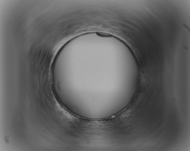 X0000103231527200809111519