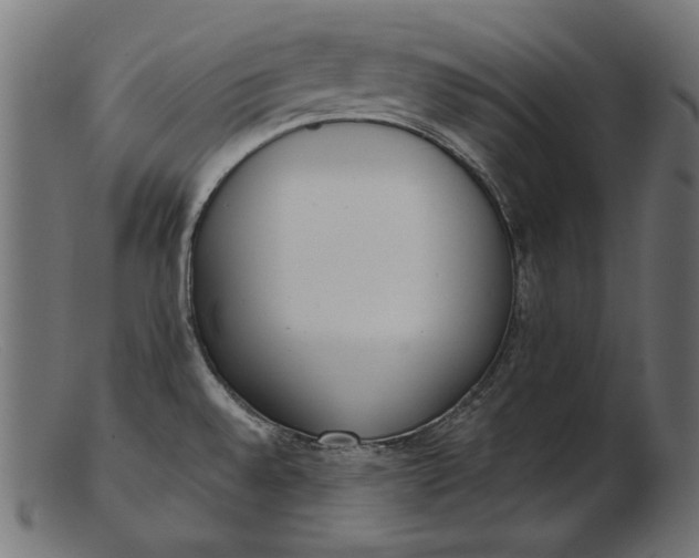 X0000103231528200809111519