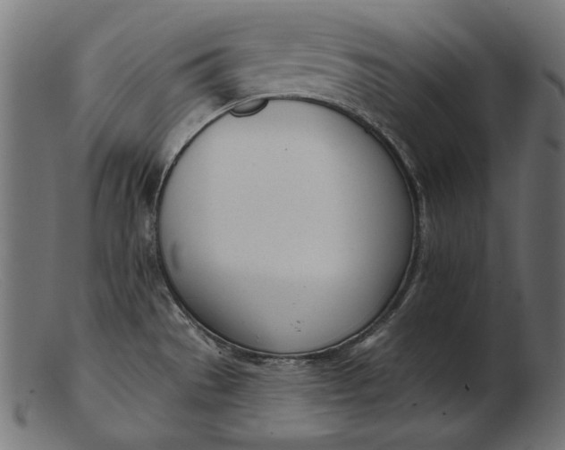 X0000103231529200809111519