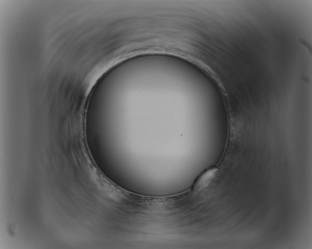 X0000103231530200809111519