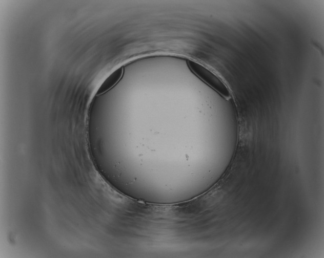 X0000103231532200809111519