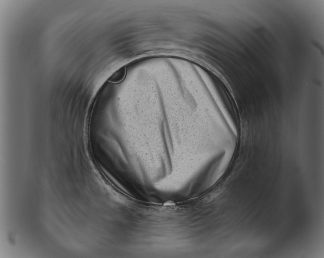X0000103231533200809111519