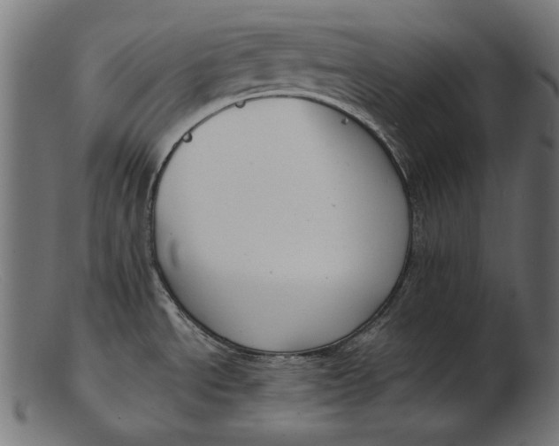 X0000103231534200809111519