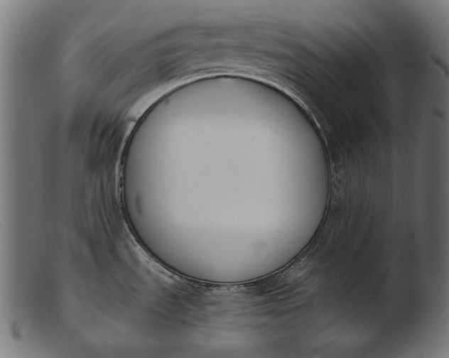 X0000103231535200809111519