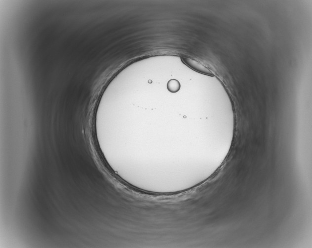 X0000103230001200809181533