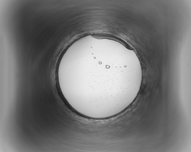X0000103230002200809181533