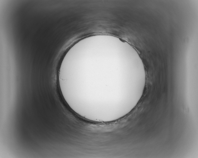 X0000103230005200809181533