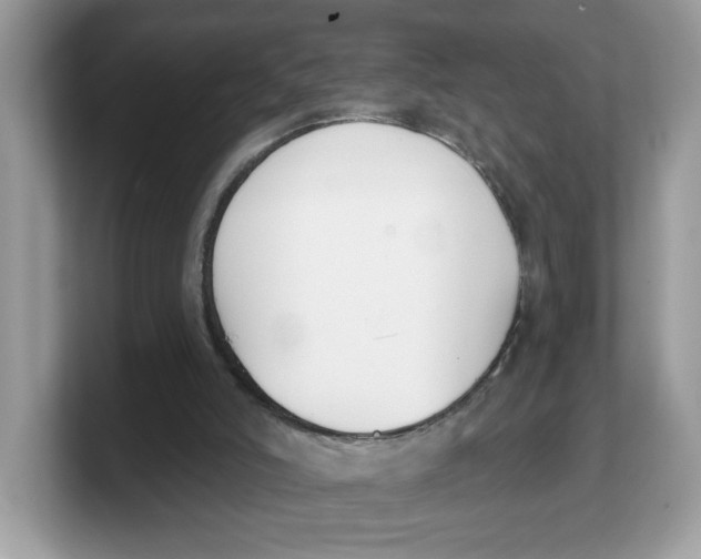 X0000103230006200809181533