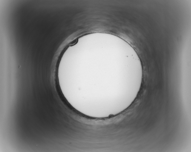 X0000103230007200809181533