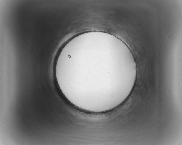 X0000103230008200809181533