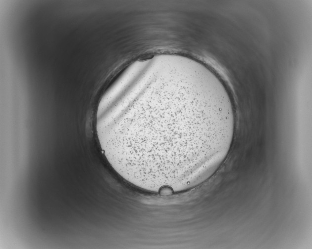 X0000103230009200809181533