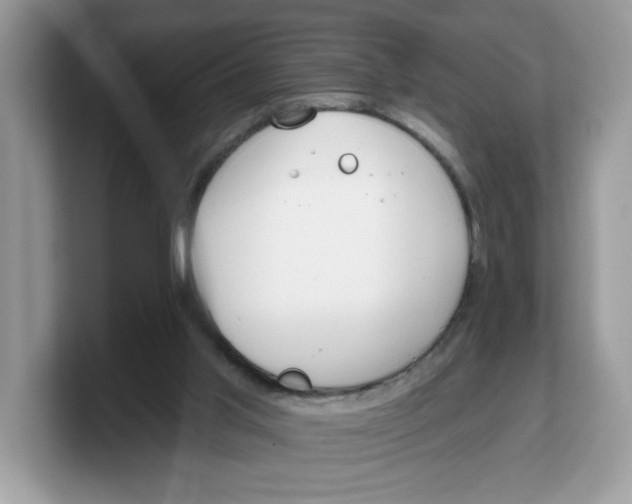 X0000103230013200809181533