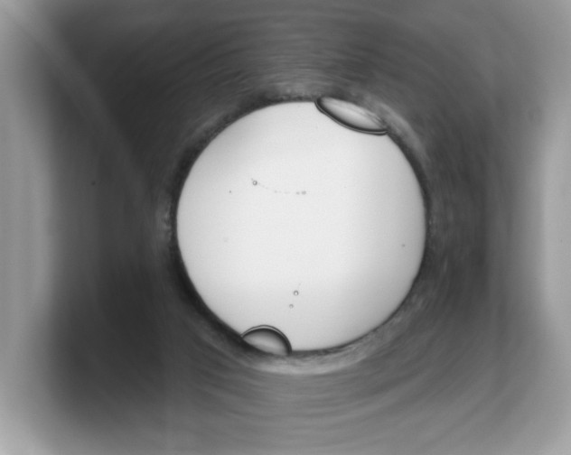 X0000103230017200809181533