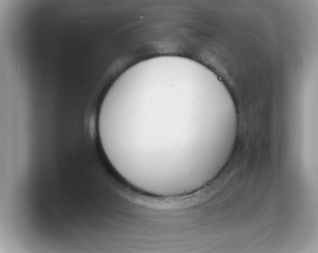 X0000103230019200809181533