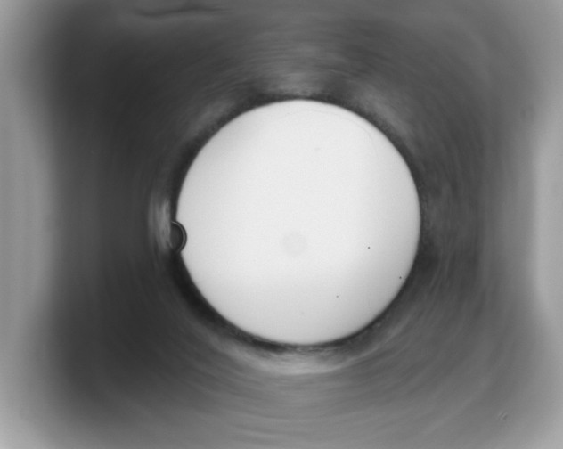 X0000103230020200809181533