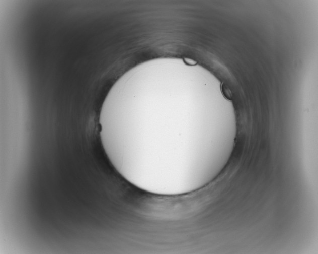 X0000103230029200809181533