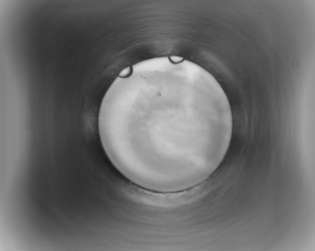 X0000103230035200809181533