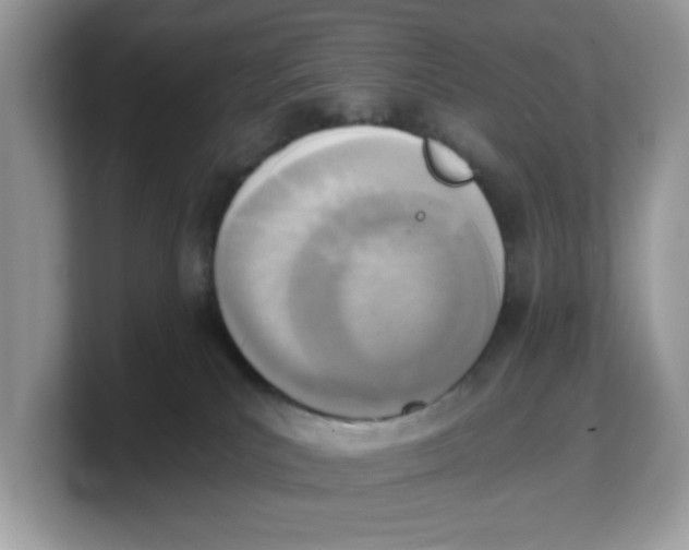 X0000103230039200809181533