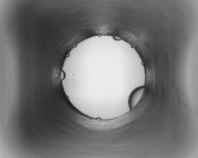 X0000103230043200809181533