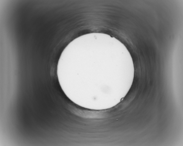 X0000103230044200809181533