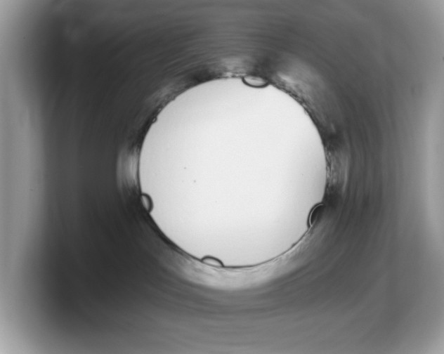 X0000103230047200809181532