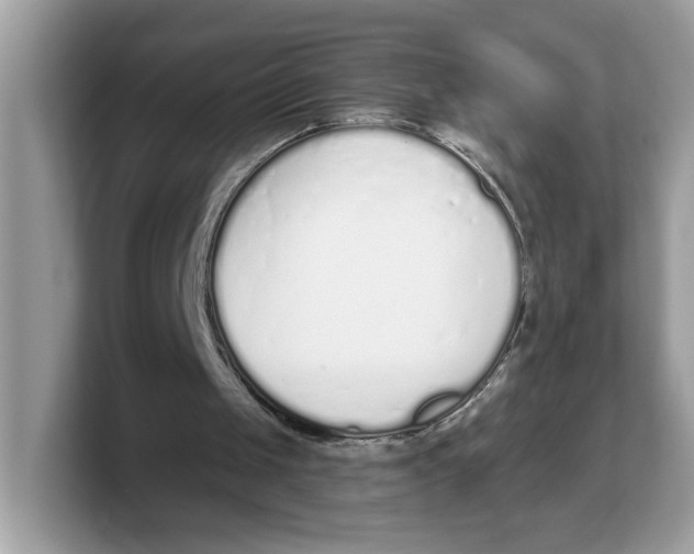 X0000103230049200809181532