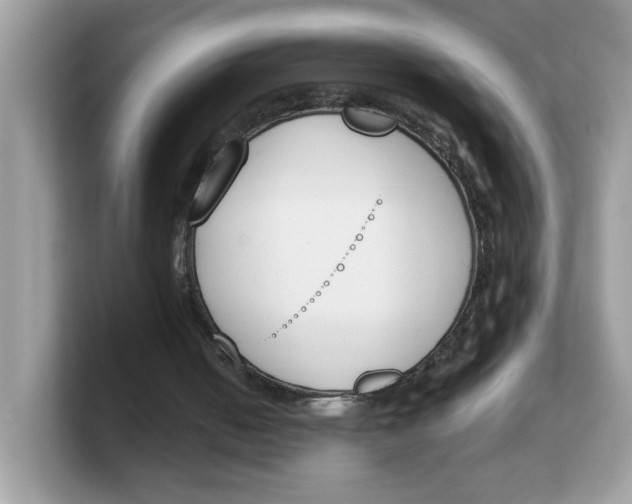 X0000103230050200809181532