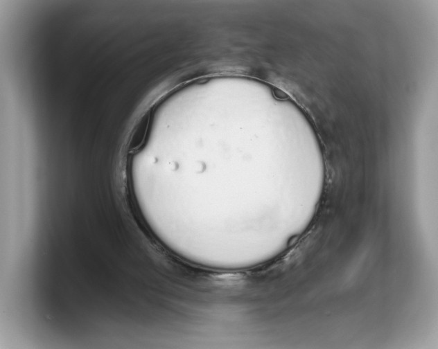X0000103230053200809181532